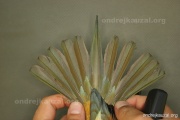 CZEP19-252 d