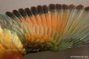 CZEP21-328 e1