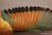 CZEP21-357 e1