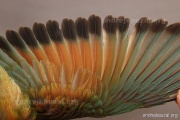 CZEP21-358 e1