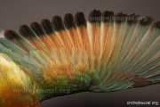 CZEP21-378 e1