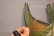 CZEP21-416 y