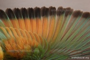 CZEP23-601 e2