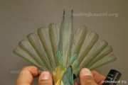 CZEP23-615 z