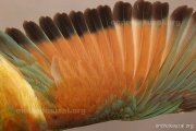 CZEP23-627 e1
