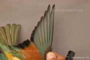 CZEP23-627 y