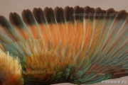 CZEP23-628 e1