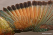 CZEP23-631 e1