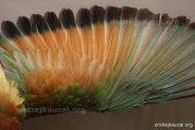 CZEP23-633 e1