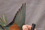 CZEP23-637 y