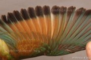 CZEP23-653 e1